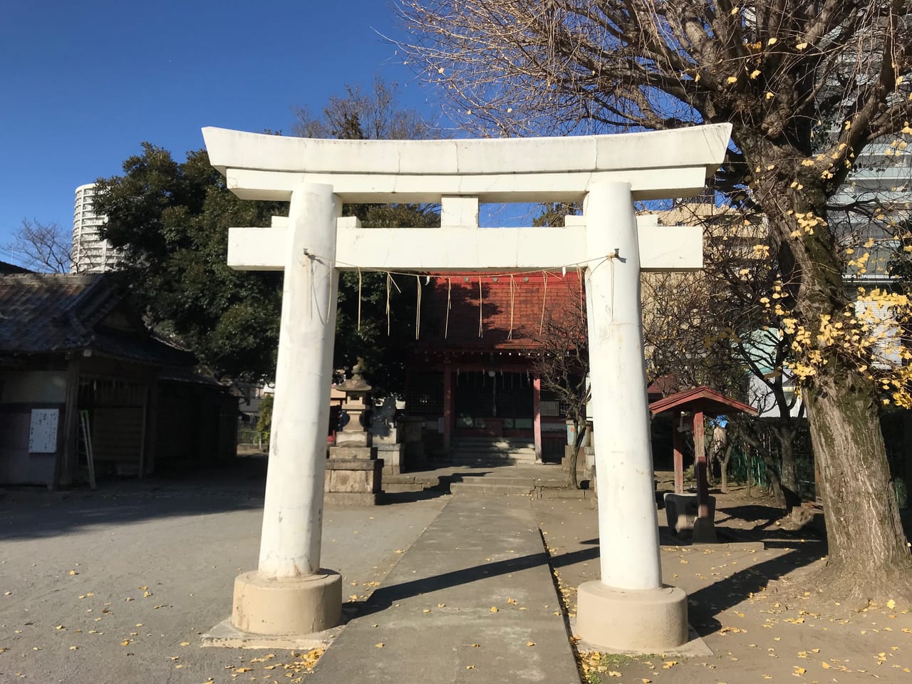 飯塚氷川神社1