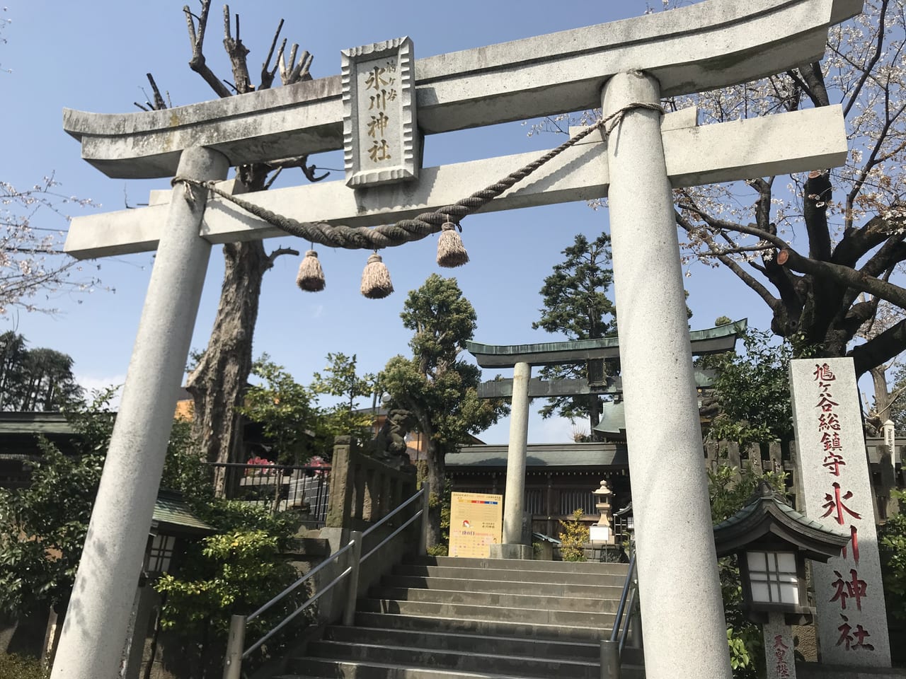 川口市】2月22日は猫の日！鳩ヶ谷氷川神社でとってもかわいい限定