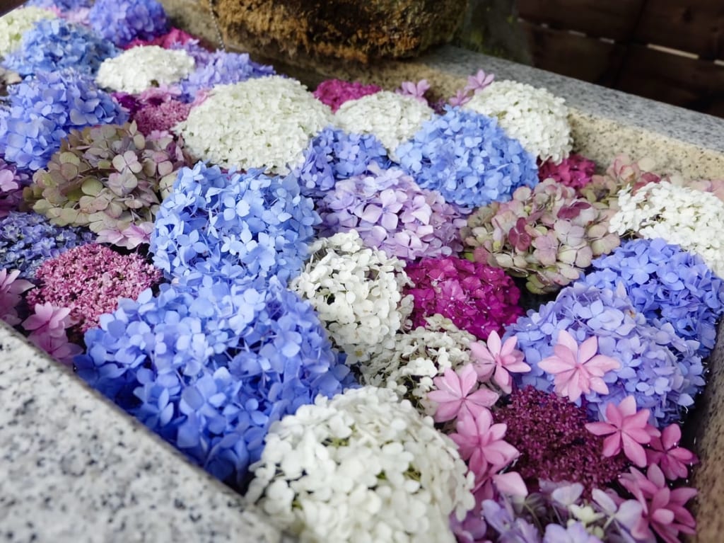 氷川神社_花手水2